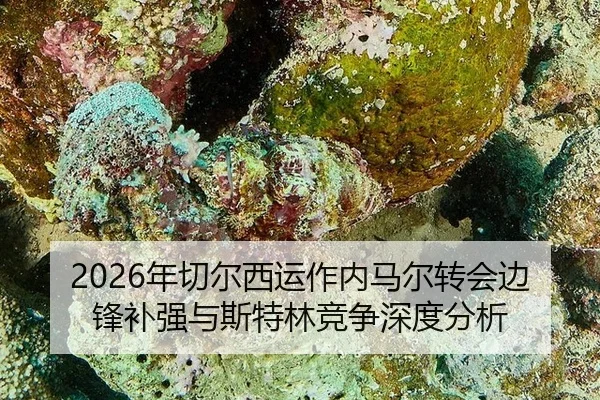 2026年切尔西运作内马尔转会边锋补强与斯特林竞争深度分析